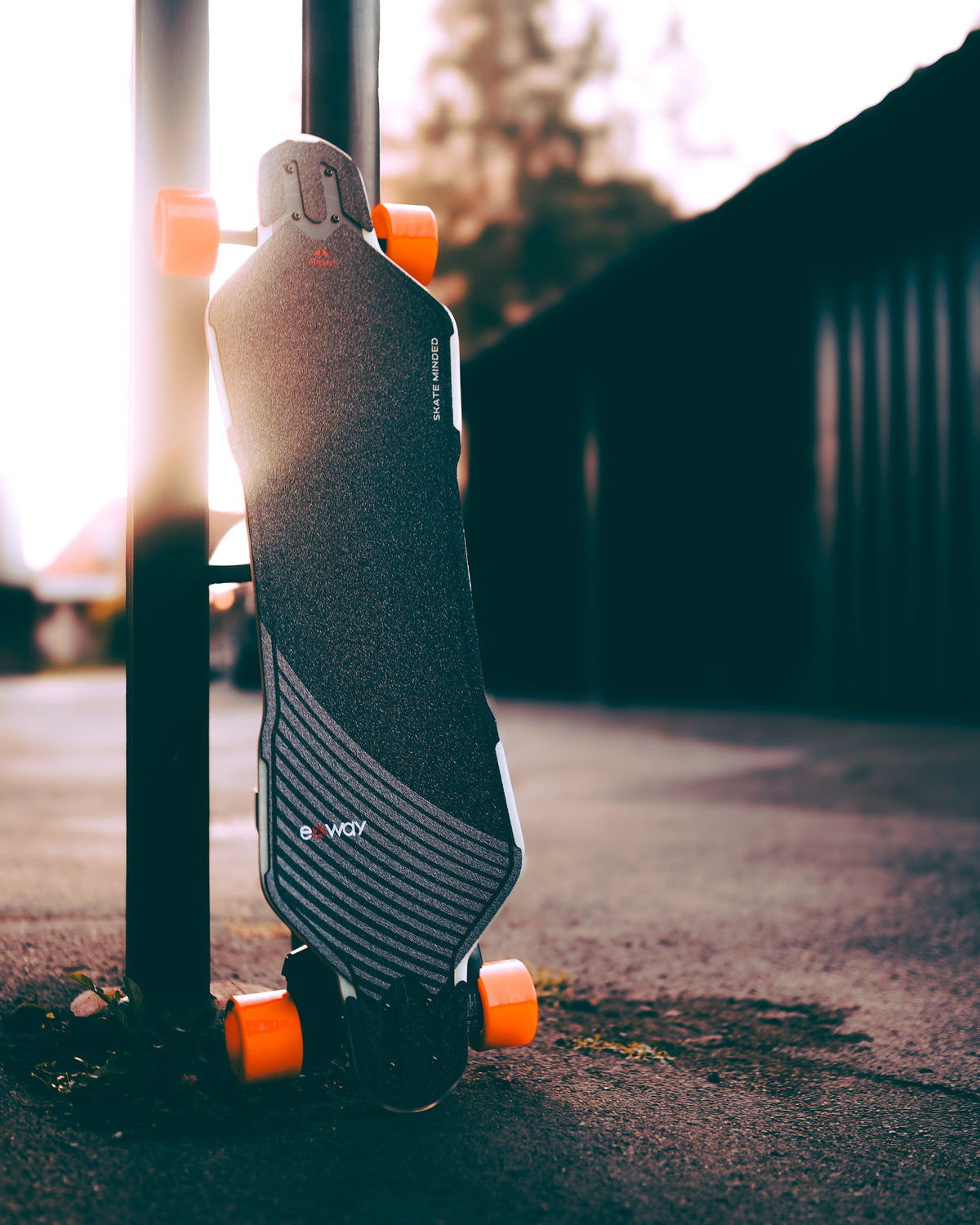 Wave Flex vs. Qual você deve escolher?